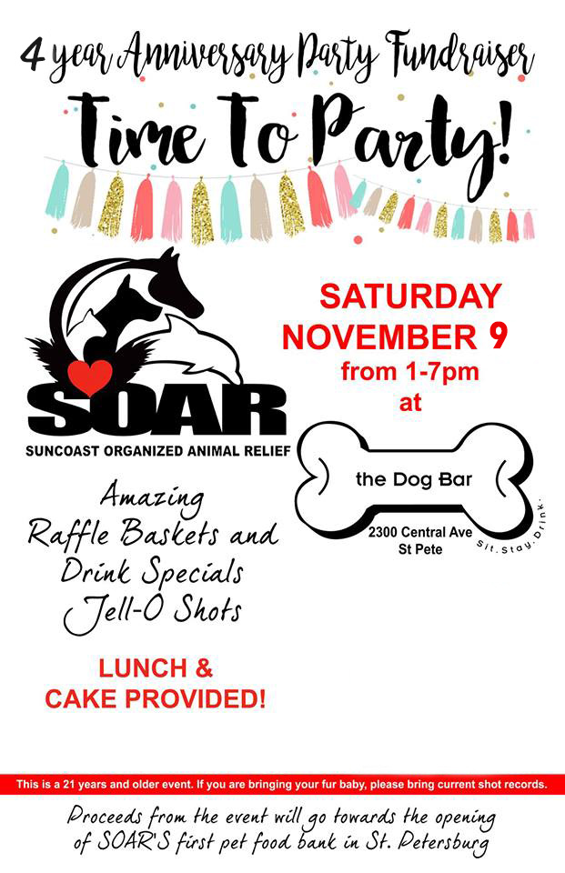 SOAR’s 4-Year Anniversary Party Fundraiser
